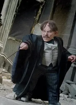 Profile image of Fillius flitwick