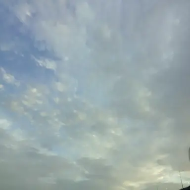 Profile image of 고고프렌즈