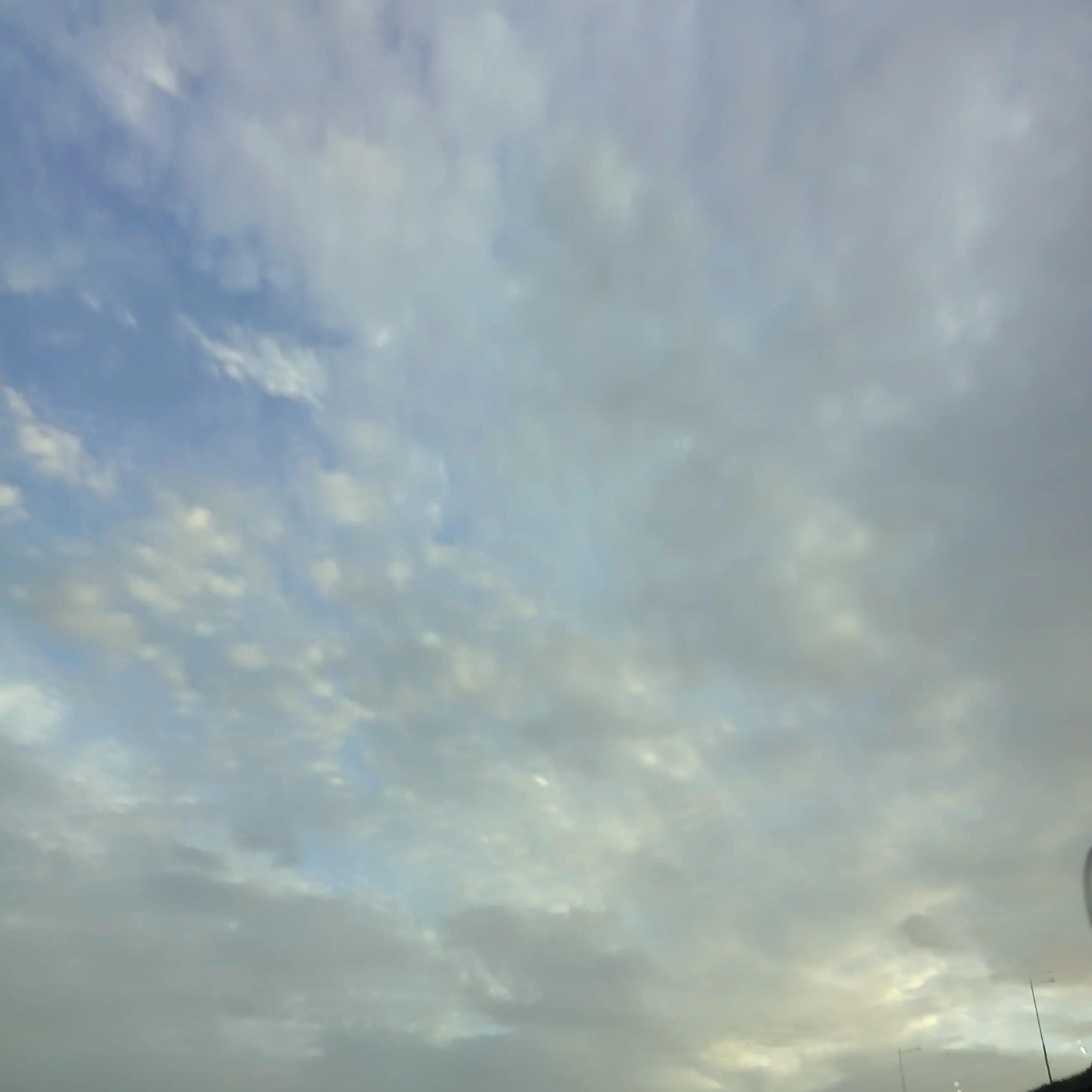 TrendyQuest2379의 고고프렌즈+여우