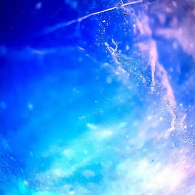 Profile image of 멜로우