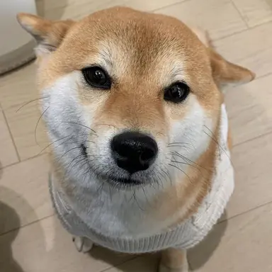 Profile image of 백지헌