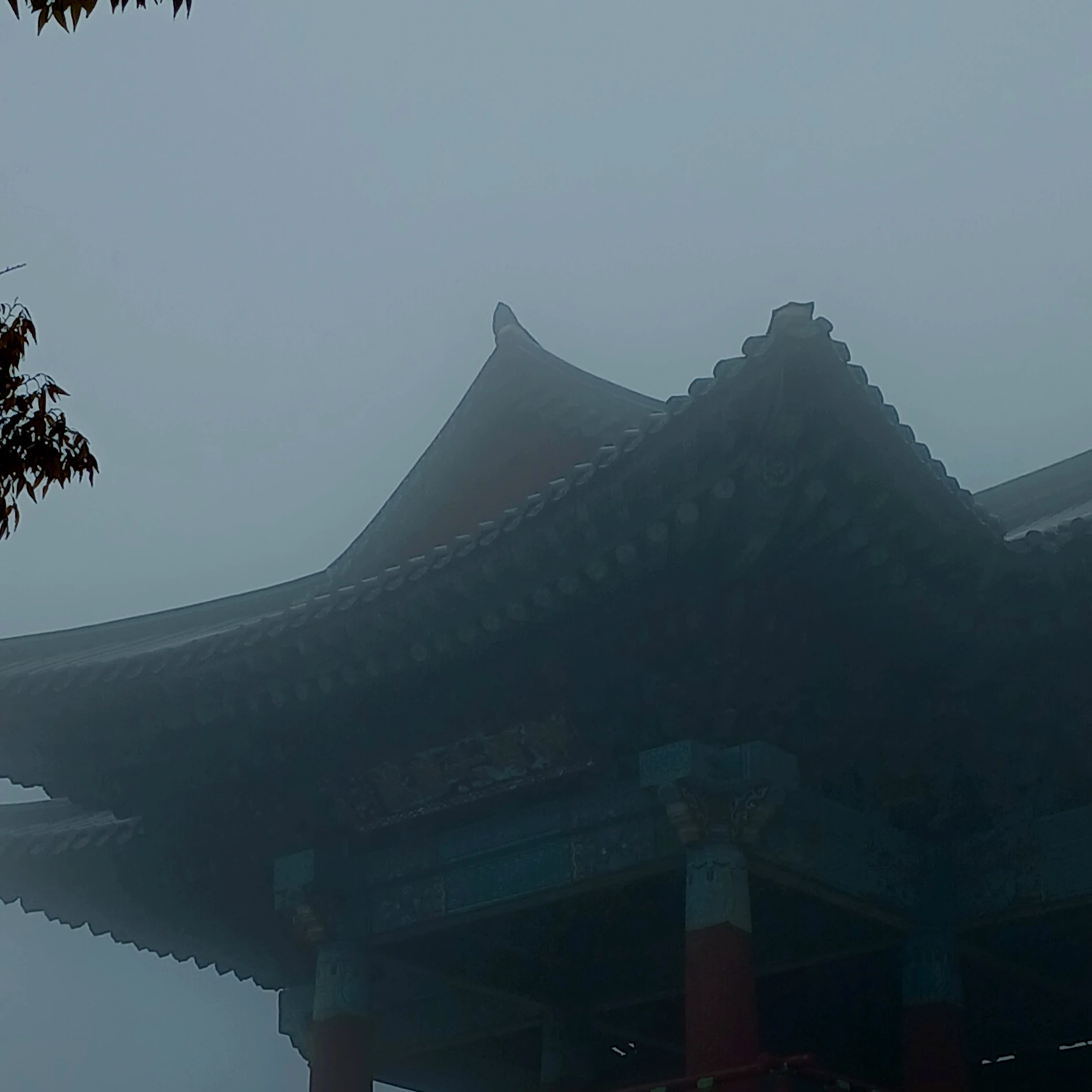 청ㅁ