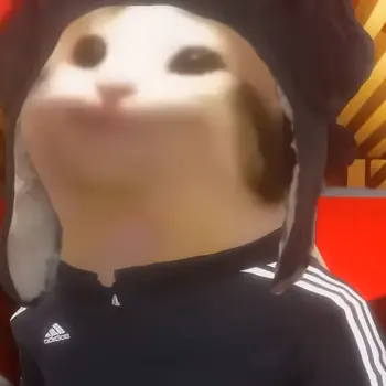 Profile image of 사령관