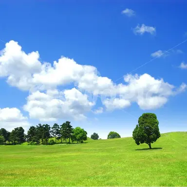 Profile image of 짝남