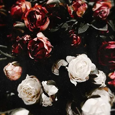 Profile image of 박승기