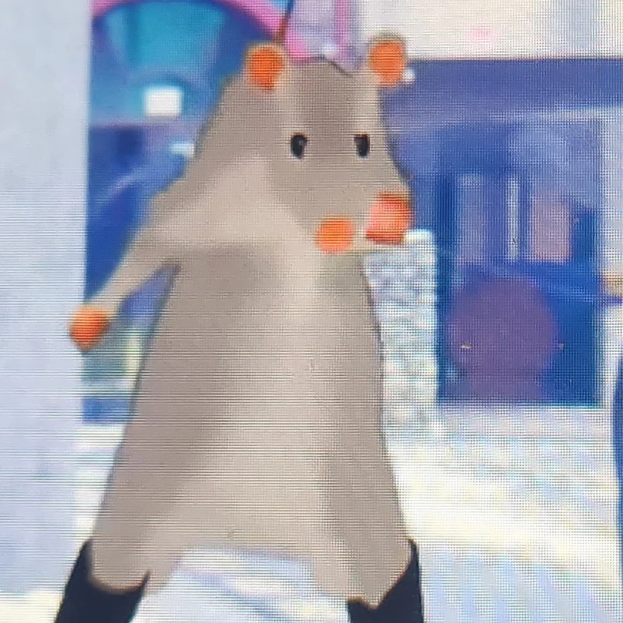 쥐