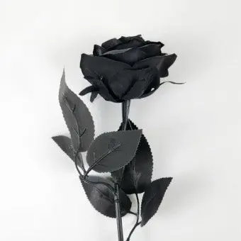 Profile image of 한태석