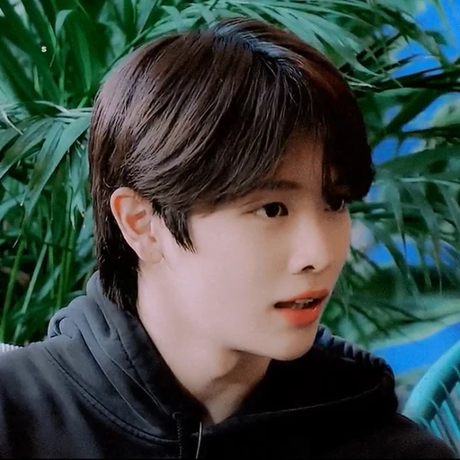 정성찬