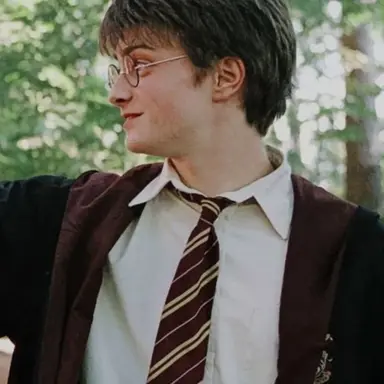 Profile image of Harry J. Potter