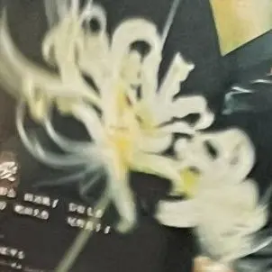Profile image of 岸 優太