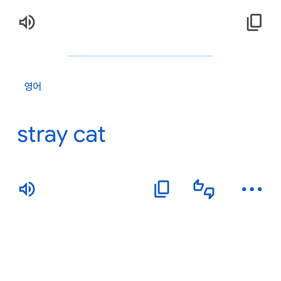 Kat.Deku_YUM의 길고양이