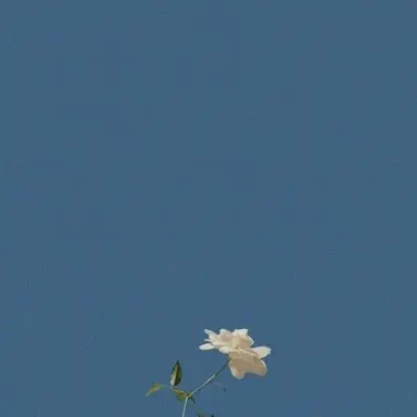 Profile image of 마지마 레이지
