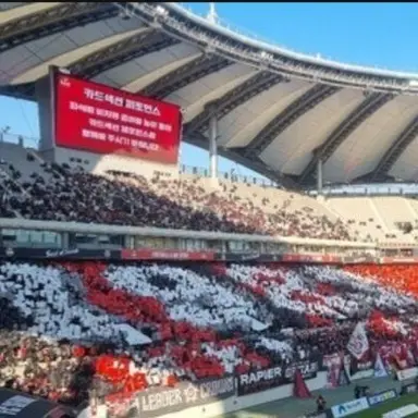 Profile image of FC서울 수호신