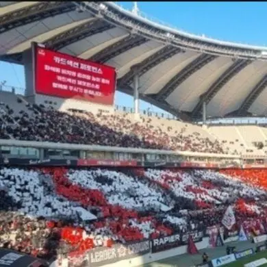 PetiteCorn9215의 FC서울의 감독을 맡아라!