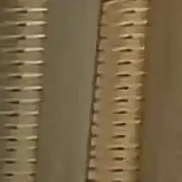 Profile image of 방찬