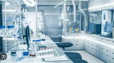 Profile image of The Lab