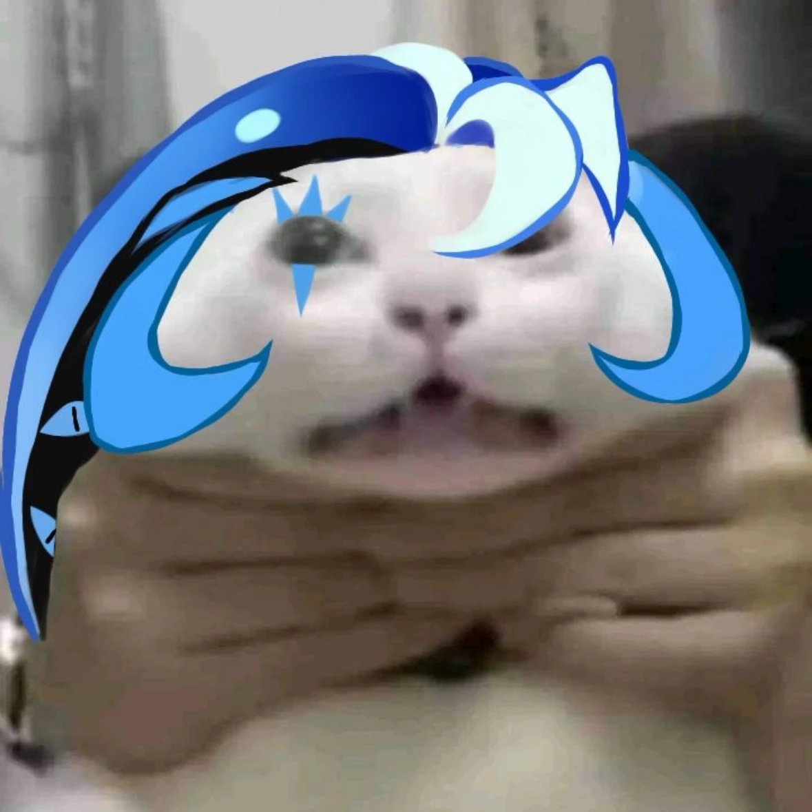 똥가오 잡는 쉐밀