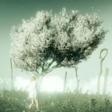 Profile image of The bliss