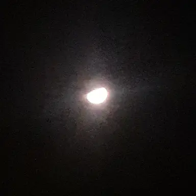 Profile image of 罪木