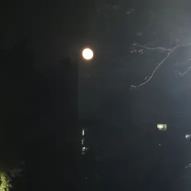 Profile image of 순