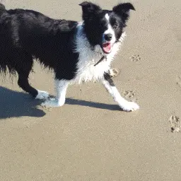 EarthyChain1627의 기차느니까 맘대로