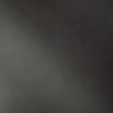 Profile image of 아키