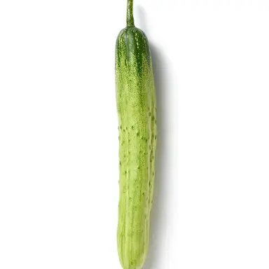 Profile image of 제작자