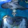 Profile image of Lacie