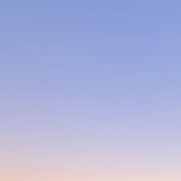 PlacidPetal4596의 透明