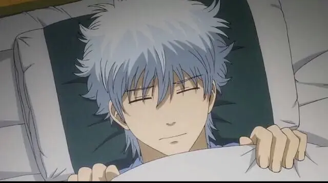 Profile image of Gintoki Sakata