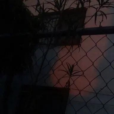 Profile image of 김일영