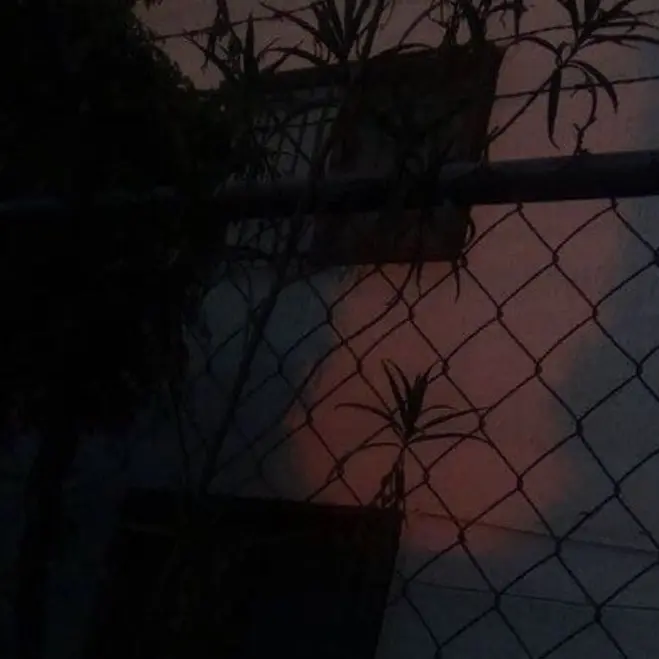 Honney_bear의 김일영