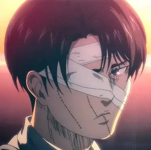 CleverTooth6209의 Levi Ackerman