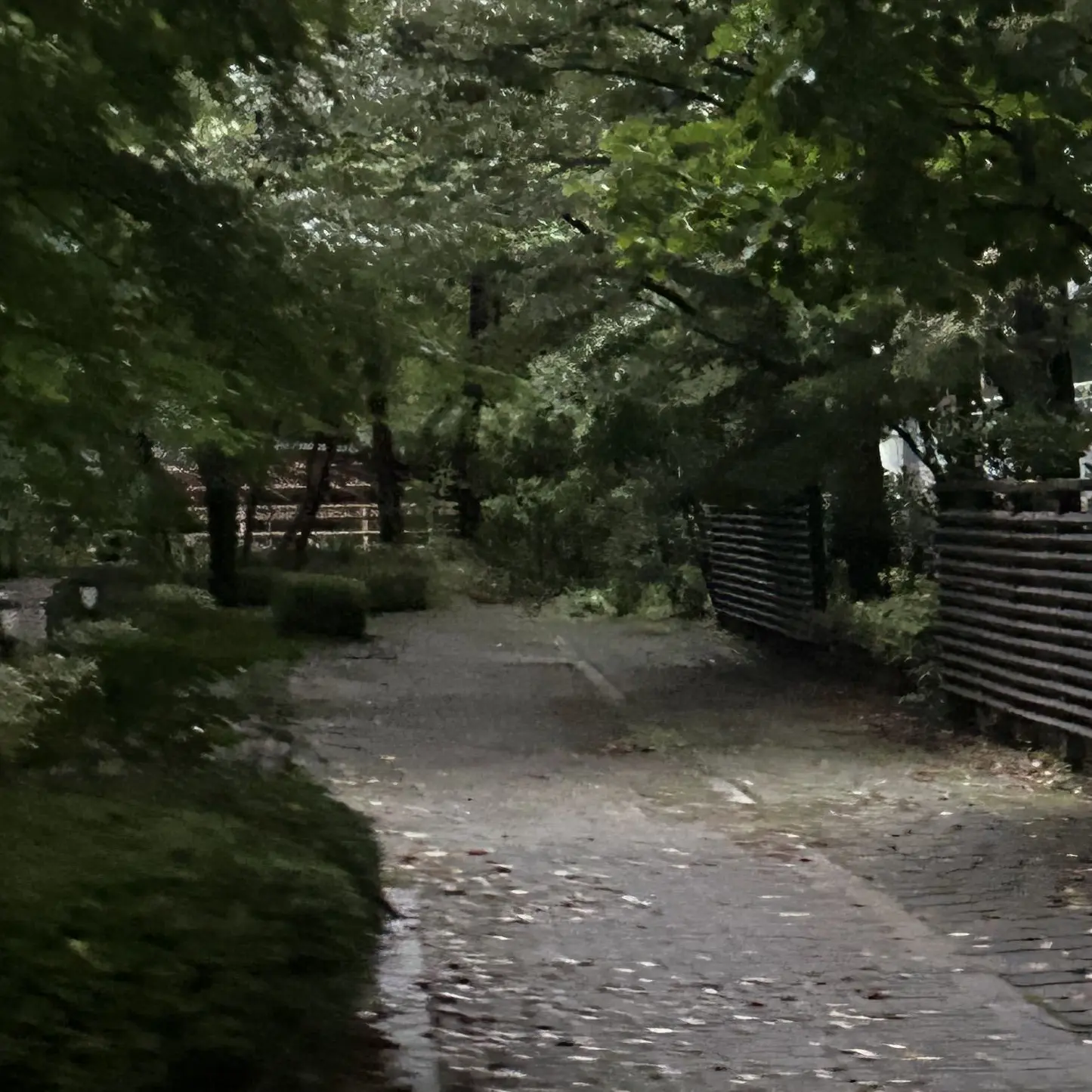 EarlyDust0686의 아저씨