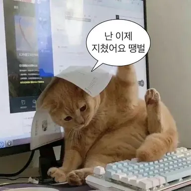Profile image of 여우