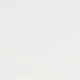 언니