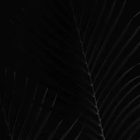 lornechwe의 멀티버스 관리자 2
