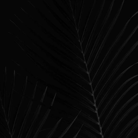 관리자2
