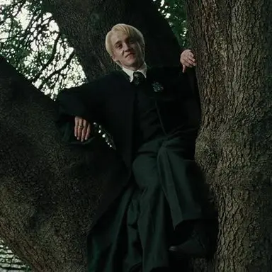 Profile image of Draco Malfoy