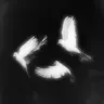 Profile image of 브랜든