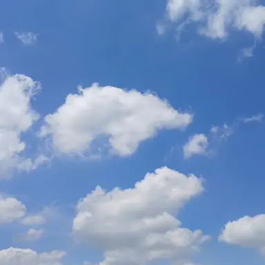 Profile image of 잠뜰