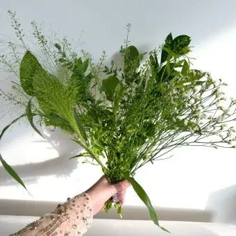 Profile image of 공룡