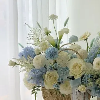 jiyul00127의 '2p와 1p가 만나면 어떻게될까-"