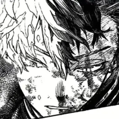 Profile image of Shoto Todoroki
