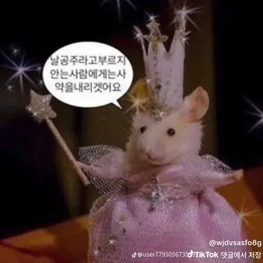 Profile image of 여우