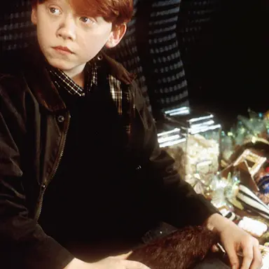 Profile image of Ronald Weasley