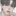 이성찬