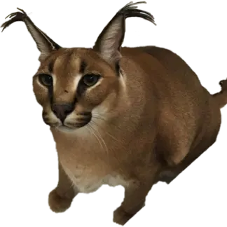 Profile image of フロッパ