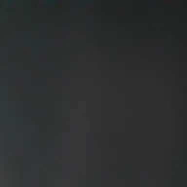 Profile image of 채송화