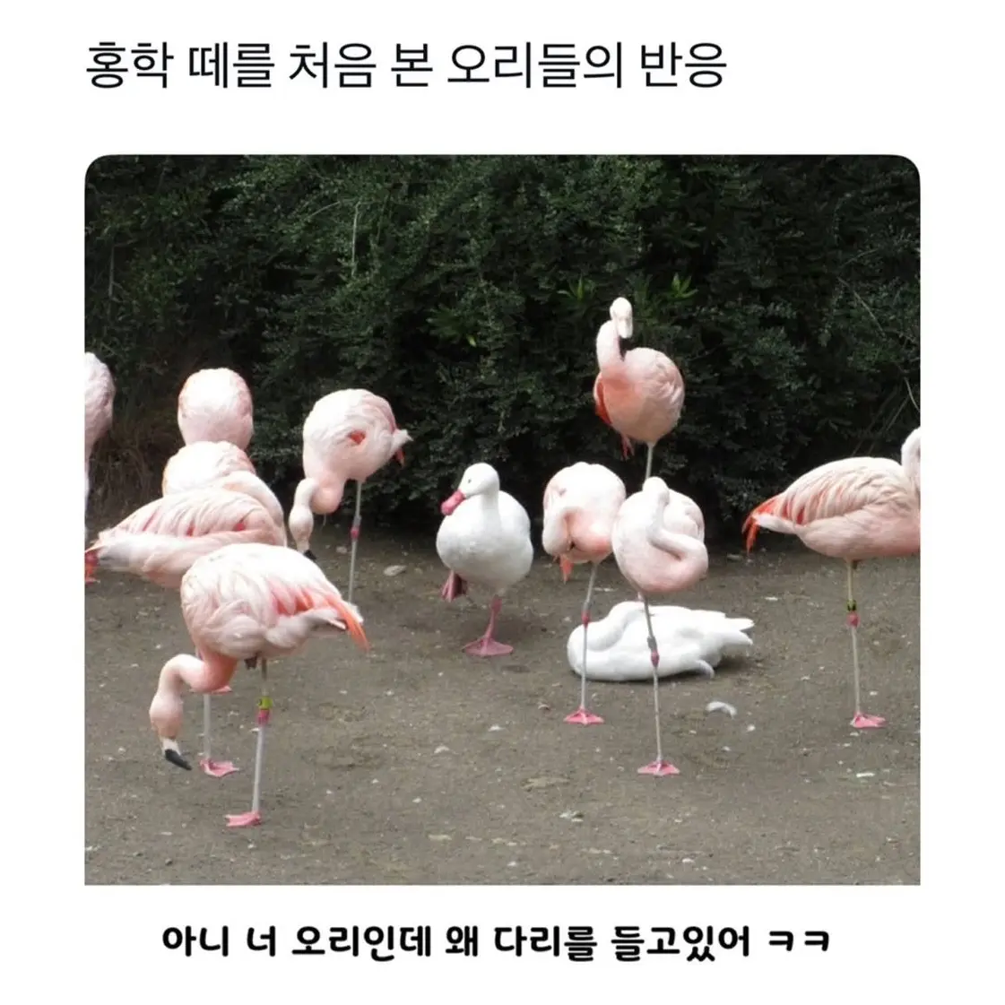 ah24의 꿻ㅌ